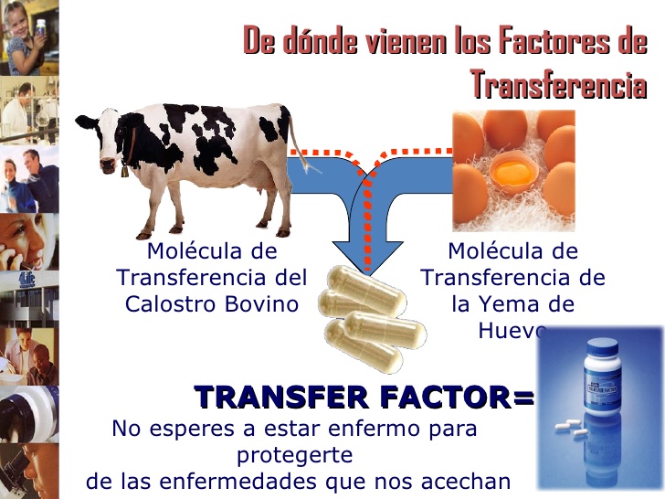 Factores transferencia-en-4life
